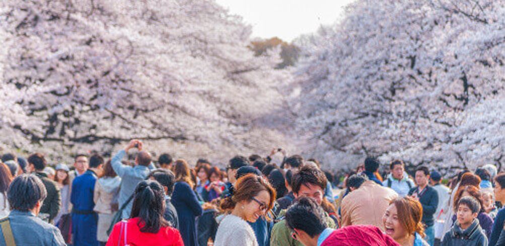 Inspiring vacations reviews japan